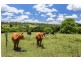 229 Meredith Road, Veteran QLD 4570