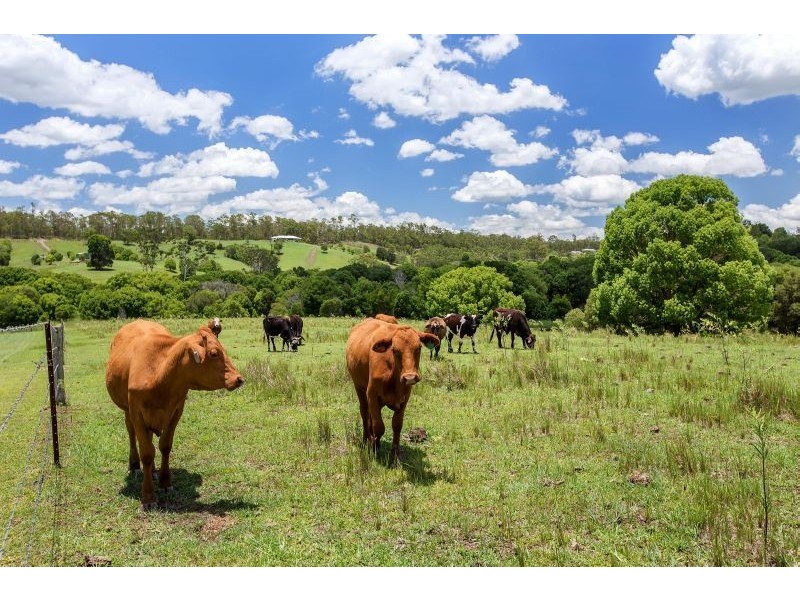 229 Meredith Road, Veteran QLD 4570