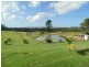 34 Grecian Bends Road, Greens Creek QLD 4570