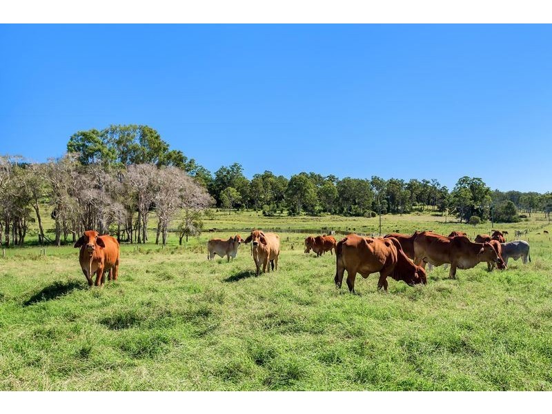 1695 Tin Can Bay Road, Goomboorian QLD 4570