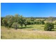 1256 Anderleigh Road, Anderleigh QLD 4570