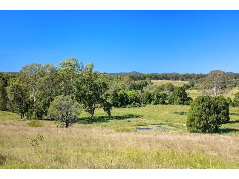 1256 Anderleigh Road, Anderleigh QLD 4570