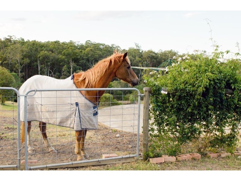 75 Forest Ridge Drive, Tamaree QLD 4570