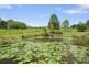 50 Campbell Road, East Deep Creek QLD 4570