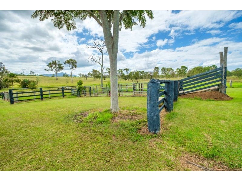 53 Lower Wonga Hall Road, Lower Wonga QLD 4570