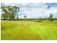 53 Lower Wonga Hall Road, Lower Wonga QLD 4570