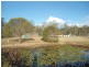 20 Jamie Drive, Curra QLD 4570