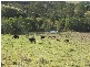 Lot 2 on RP 204184 Tipman Road, Gympie QLD 4570