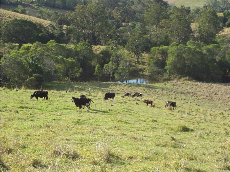 Lot 2 on RP 204184 Tipman Road, Gympie QLD 4570