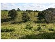 Lot 14 Kauri Court, Gympie QLD 4570