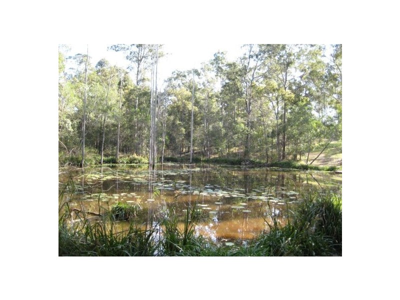 371 Nash Road, Tamaree QLD 4570