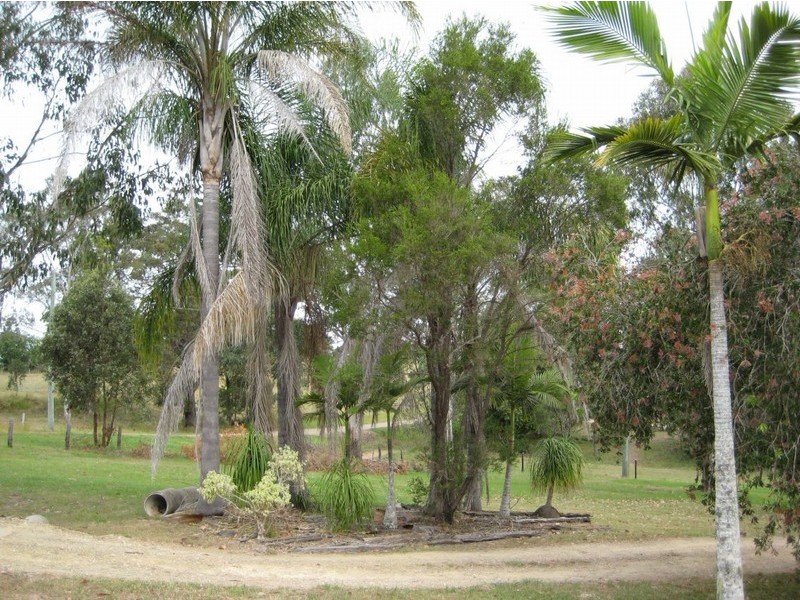 8 Annita Way, The Dawn QLD 4570