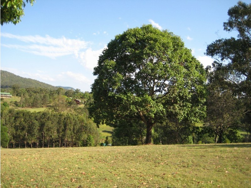 Lot 19 Hillview Road, Cedar Pocket QLD 4570