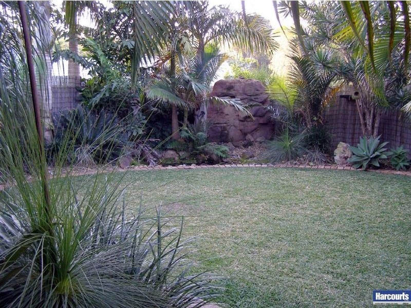 3 Setaria Cl, Cornubia QLD 4130
