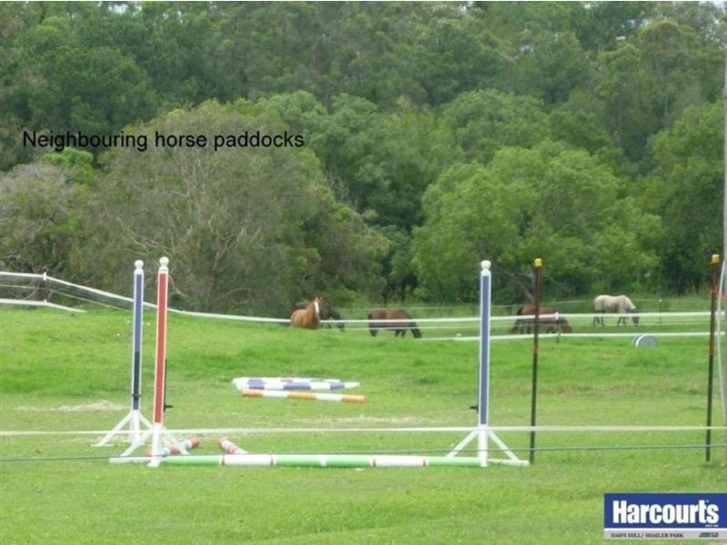 14a Conifer Street, Daisy Hill QLD 4127