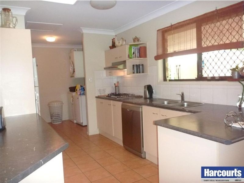 14 Lobelia Ave, Daisy Hill QLD 4127