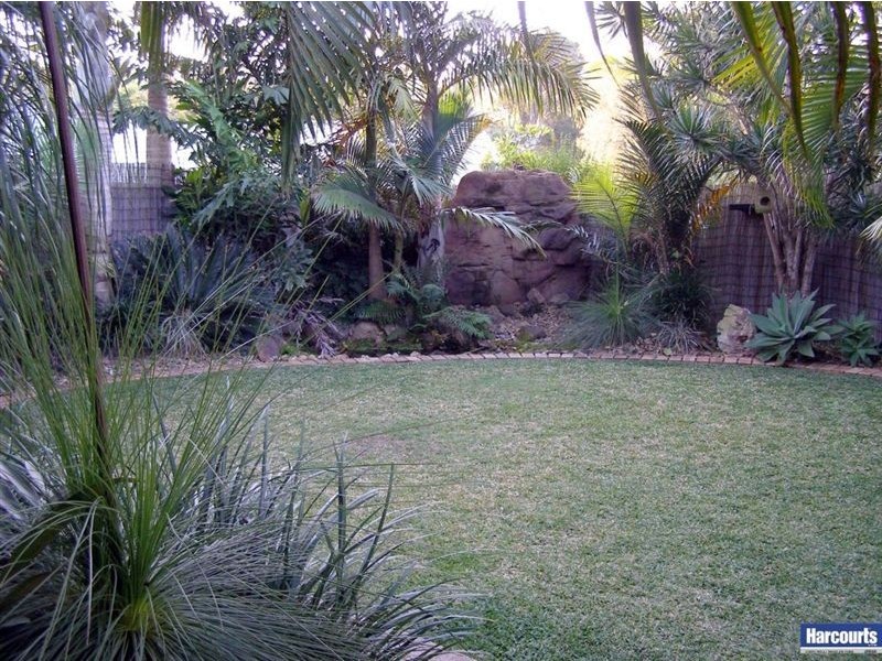 3 Setaria Close, Cornubia QLD 4130