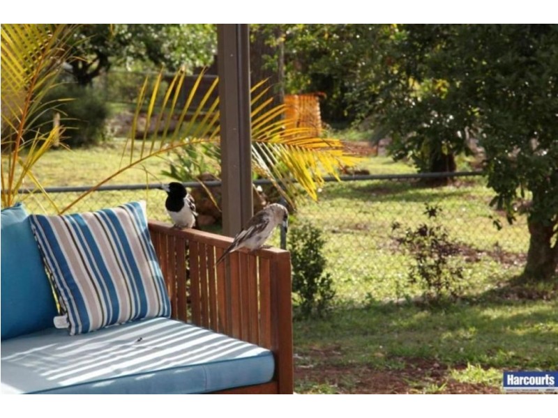 108 Daisy Hill Road, Daisy Hill QLD 4127