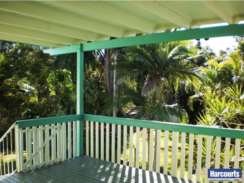 66 Allamanda, Daisy Hill QLD 4127