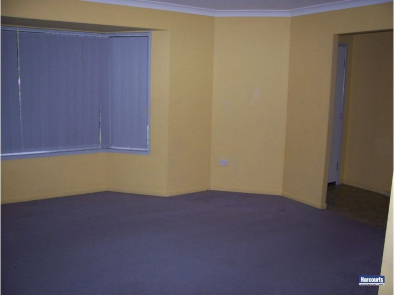 11 Lyrebird Street, Loganlea QLD 4131