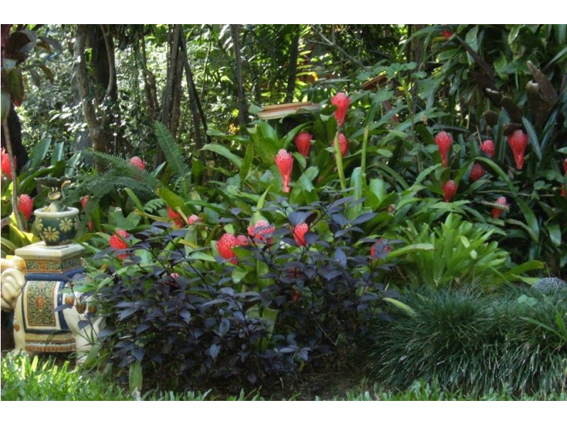 8 Wain Avenue, Logan Central QLD 4114