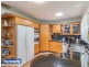 31 Allamanda Drive, Daisy Hill QLD 4127