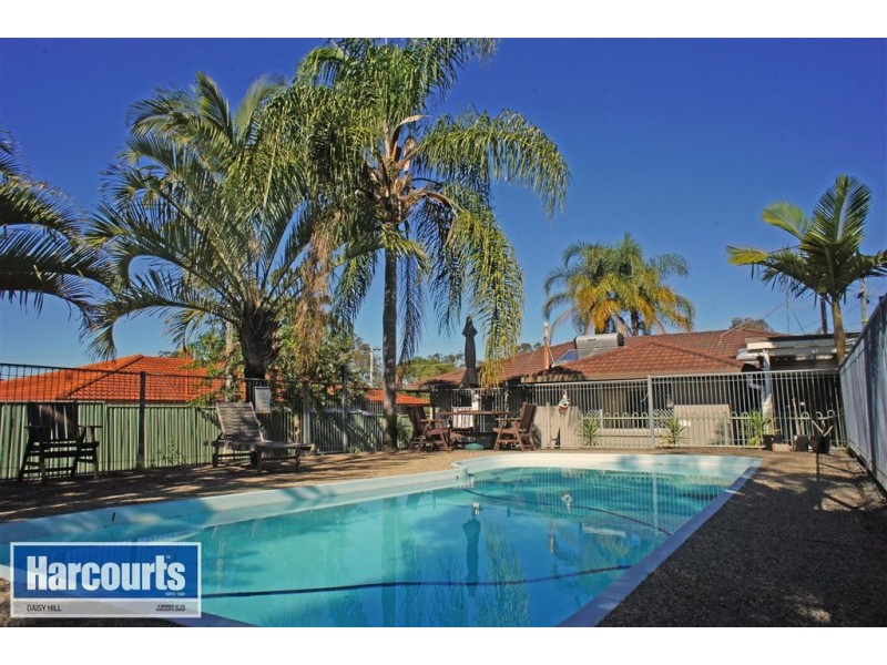 78 Allamanda Drive, Daisy Hill QLD 4127