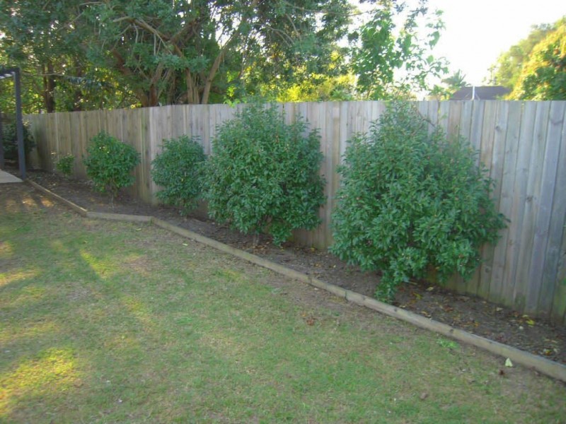 12/23  Darryl St, Loganlea QLD 4131