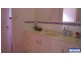 31 Boronia Avenue,, Daisy Hill QLD 4127