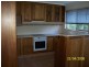 61 Lobelia Avenue, Daisy Hill QLD 4127
