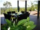 53 Highvale Drive, Helensvale QLD 4212