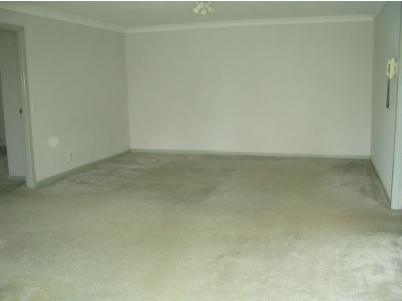 3 Crocus Way, Gaven QLD 4211