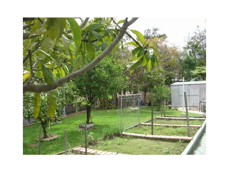 15 Dalby Court, Helensvale QLD 4212