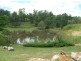 195 Tarata Road, Guanaba QLD 4210