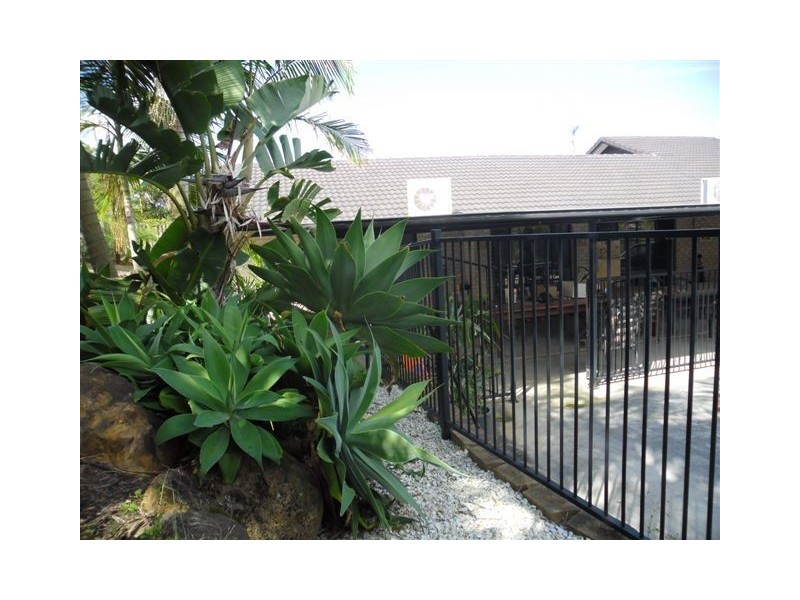 Pacific Pines QLD 4211