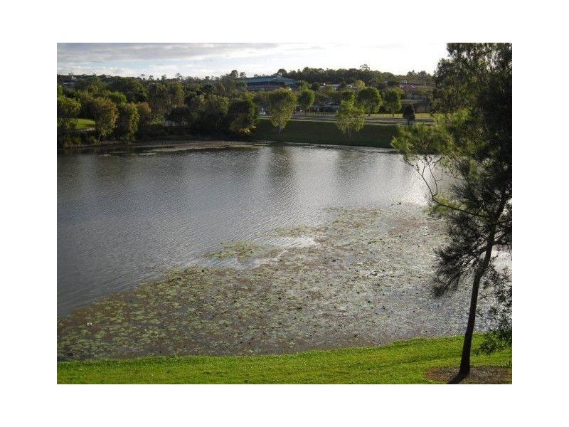 11 Sheffield Circuit, Pacific Pines QLD 4211