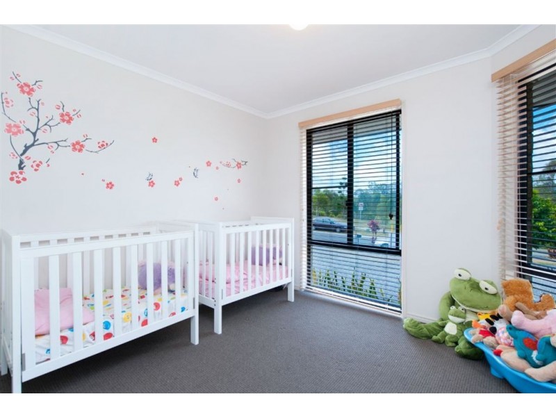 56 Treeline Circuit, Upper Coomera QLD 4209