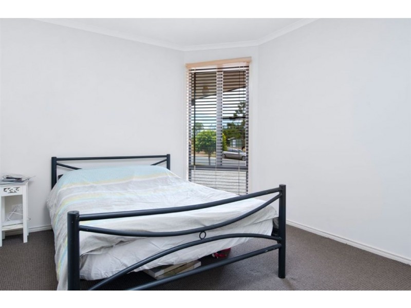 56 Treeline Circuit, Upper Coomera QLD 4209