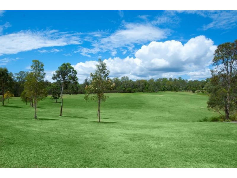 56 Treeline Circuit, Upper Coomera QLD 4209