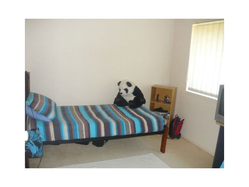 Pacific Pines QLD 4211