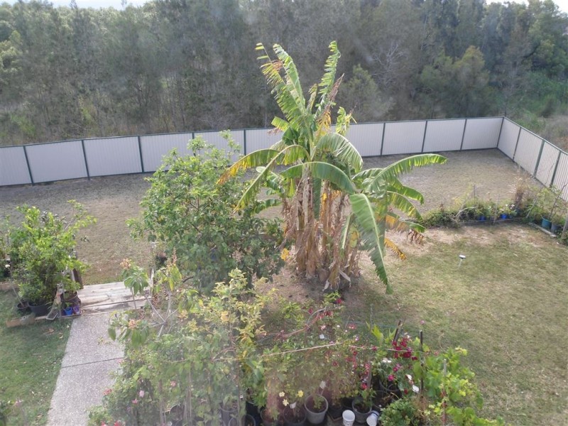 1 Ben Dalley Drive, Helensvale QLD 4212