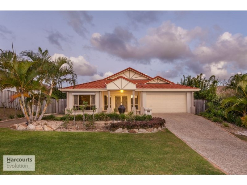 12 Skyvine Court, Upper Coomera QLD 4209