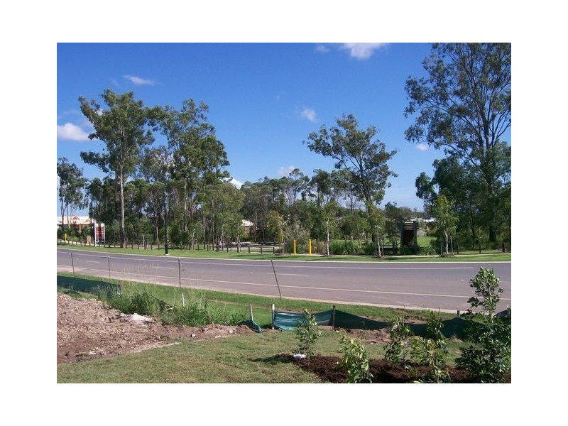 67 Maidenwell Road, Ormeau QLD 4208