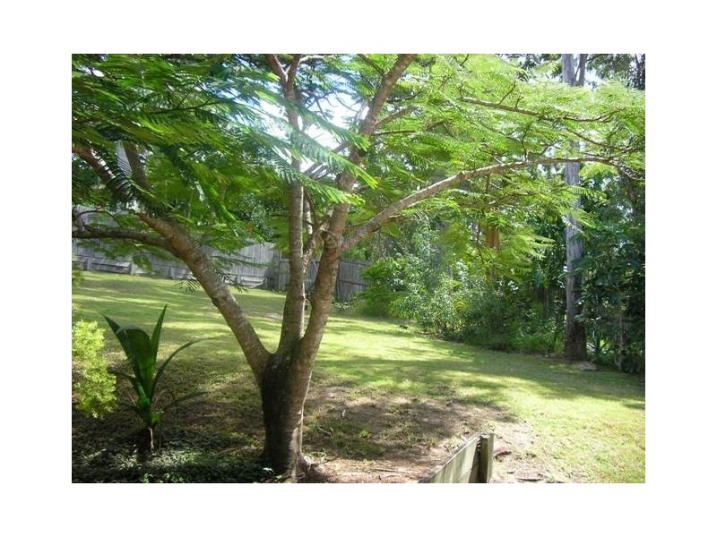 17 Tocumwal Court, Helensvale QLD 4212