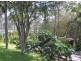 12 Balmore Street, Indooroopilly QLD 4068