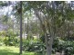 12 Balmore Street, Indooroopilly QLD 4068