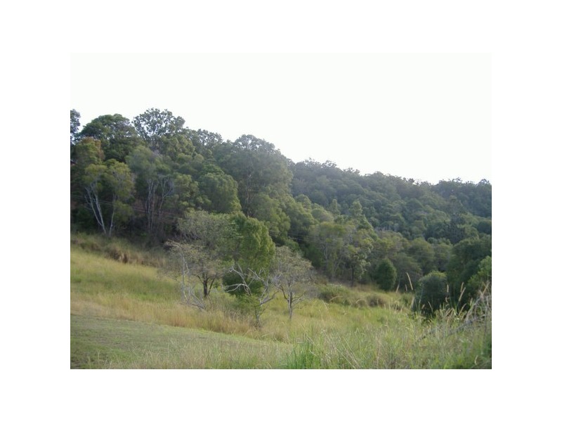 Lot2 RP178098 Tallebudgera Connection Rd, Tallebudgera QLD 4228