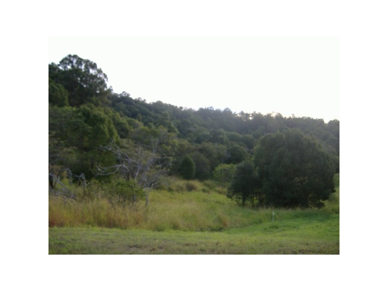 Lot2 RP178098 Tallebudgera Connection Rd, Tallebudgera QLD 4228
