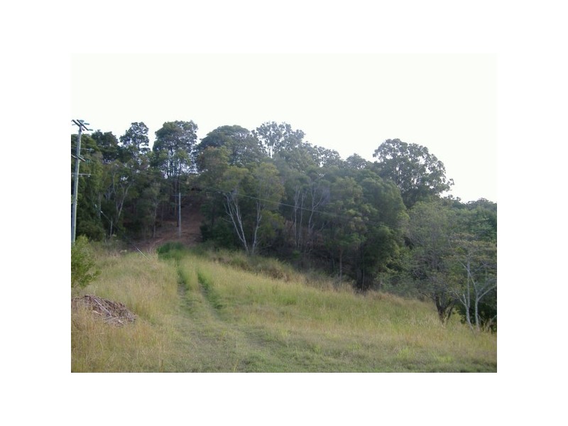 Lot2 RP178098 Tallebudgera Connection Rd, Tallebudgera QLD 4228