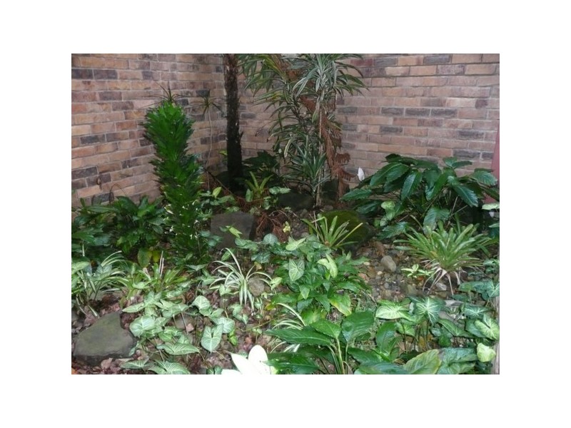 6/22 Dunlop Court, Mermaid Waters QLD 4218